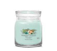 Yankee Candle Signature Medium Jar Bougie parfumée 368 g variante Aloe & Agave