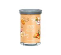 Yankee Candle Bougie Tumbler Grand Mangue Ice Glace
