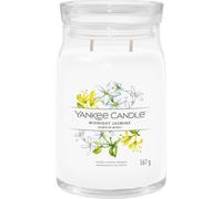 Yankee Candle - Bougie parfumée Midnight Jasmine - Signature 567 g - double mèche