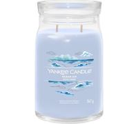Yankee Candle Signature bougie en cire Cylindre Ambre, Jasmin, Bois de santal Bleu 1 pièce(s)