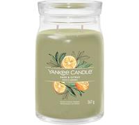 Yankee Candle Sage & Citrus bougie en cire Cylindre Citron Vert 1 pièce(s)