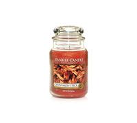 YANKEE CANDLE CANDELA GIARA GRANDE CINNAMON STICK