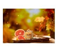 YANKEE CANDLE Candela Tumbler Piccola in vetro Signature Glistening Leaves