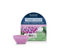 YANKEE CANDLE CIRE À FONDRE WAX MELT ORCHIDÉE SAUVAGE