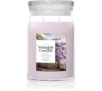 Yankee Candle Dried Lavender & Oak bougie parfumée 567 g