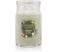 Yankee Candle Enchanted Orchard bougie parfumée Signature 567 g