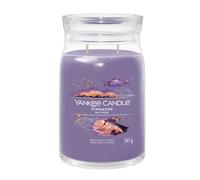 Yankee Candle Bougie parfumée Praline & Birch 567 g variante Stargazing