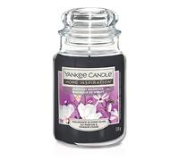 Yankee Candle - Home Inspiration, Bougie en pot, Parfum Fleurs de Magnolia, Idée Cadeau (Fleurs de Magnolia, Grand Jar)