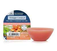 Yankee Candle | Le dernier paradis | Fondant de cire, Parfum durable jusqu'à 8 heures | 1 pièce