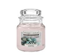 Yankee Candle Lot de bougies multicolores uniques