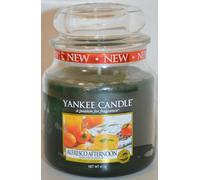 Yankee Candle Medium Jar ALFRESCO APRÈS-MIDI 411g