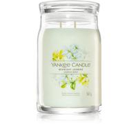 Yankee Candle Midnight Jasmine bougie parfumée I. Signature 567 g