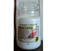 Yankee Candle NORTH POLE, 623 g, - Returning Favourite - , Rare