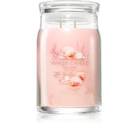 Yankee Candle Bougie parfumée Praline & Birch 567 g variante Pink Sands