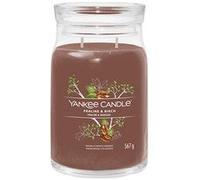 Yankee Candle Signature - Bougie parfumée | Bougie en pot moyenne praline et bouleau avec double mèche | Mélange de cire de soja à combustion longue | Cadeau parfait pour femme