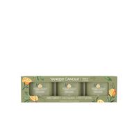 Yankee Candle SAGE & CITRUS - Lot de 3 bougies en verre