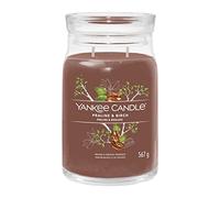 Yankee Candle Signature 1629987E - Grande bougie en pot praline et bouleau avec double mèche | Mélange de cire de soja à combustion longue | Cadeau parfait pour femme