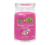 Yankee Candle Bougie parfumée Praline & Birch 567 g variante Art In The Park