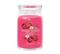 Yankee Candle Parfums d'ambiance Bougies parfumées Red Raspberry 567 g