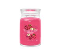 YANKEE CANDLE SIGNATURE BOUGIE PARFUMÉE | GRANDE BOUGIE EN POT À FRAMB