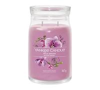 Yankee Candle Bougie parfumée Praline & Birch 567 g variante Wild Orchid