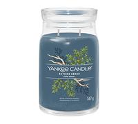 Yankee Candle Bougie parfumée Bayside Cedar – Grande double mèche, cire de soja 567 g