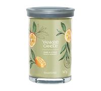 Yankee Candle Signature Bougie parfumée | Grande bougie parfumée sauge et agrumes avec double mèche | Bougie à combustion longue en cire de soja | Cadeau parfait pour femme