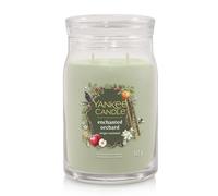 Yankee Candle bougie parfumée Enchanted Orchard Signature 567 g