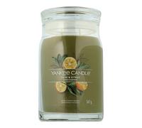 Yankee Candle Signature - Sage & Citrus 567g