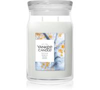 Yankee Candle Silver Birch bougie parfumée 567 g