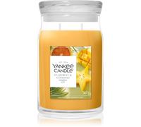Yankee Candle Starfruit & Sunshine bougie parfumée 567 g