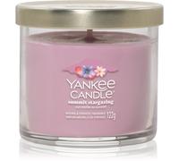 Yankee Candle Summit Stargazing bougie parfumée Signature 122 g