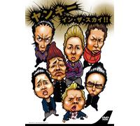 Yankee in the Sky [Import allemand]