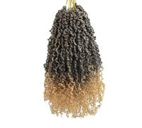 Yanky Twist Lot de 8 cheveux pré-bouclés au crochet de 40,6 cm, 30 mèches/pièce, mini Passion Twists, cheveux sénégalais (T27)