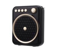 Yanmis Amplificateur Vocal pour Enseignants avec Bluetooth et Micro | Microphone et Haut-parleur Portables, Réduction du Bruit , Lecture USB, pour L'enseignement des Guides Touristiques, la