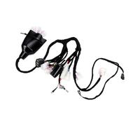 Yanmis Ensemble de Faisceau de Câblage Principal Complet de Remplacement pour Vélo électrique Sur Ron LBX Light Bee X/S, Kit de Faisceau de Câbles de Moto isolé étanche, Caoutchouc ABS Durable