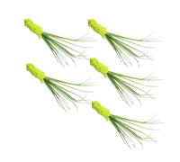 Yanmis Lot de 5 Baguettes Interactives en Peluche pour Chat - Simulation de Proie Réaliste - Tige en PVC Durable - Facile à Nettoyer (Green)