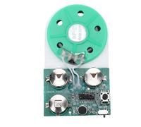 Yanmis Module D'enregistrement Vocal de 4 Minutes, Module de Lecture D'enregistrement Sonore personnalisé avec Haut-Parleur de 40 Mm, pour Cartes de Vœux de Bricolage