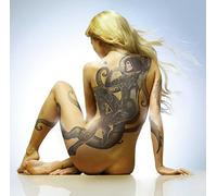 Yann Lambotte - Moi en Mieux