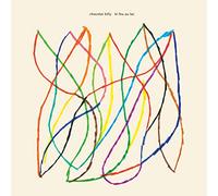 Yann Saboya - Le Feu au Lac (Vinyl)