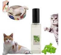 Yanobia Spray à base de plantes pour chat, céleri Pets Herbal Cat Joy, herbe à chat à base de plantes pour chats d'intérieur, soulagement de l'anxiété des chats, apaisant pour chat, espace de vie