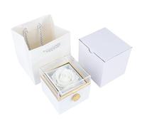 YANPINGJIA Boîte à bijoux en acrylique, cadeau romantique de Saint-Valentin avec des designs stables pour un usage en voyage, organisateur de bijoux multifonctionnel