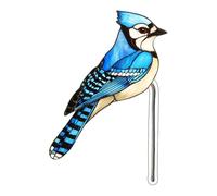 YANPINGJIA Insert acrylique pour plantes en pot, oiseau, décoration de bricolage, vitrail, décoration de jardin, décoration de maison, base de jardinière de table