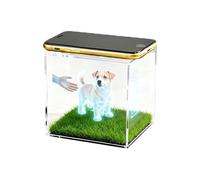 yanwuwa Boîte commémorative contemporaine avec hologrammes 3D, B