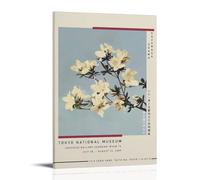 YANXIAOYUOZDS TOKYO NATIONAL MUSEUM Poster de cinéma - Décoration murale - 20 x 30 cm - Style 14