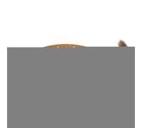 YAOPIU Griffoir pour Chat,Griffoir Élevé avec Lit Intégré pour Chat | Fauteuil Relax en Sisal Panier pour Chiot Protecteur de Meubles Canapé Lit Sol Intérieur pour Chien