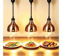 YAOYAOO Lampe Chauffe Plat Buffet Suspendue 250W 25cm Acier Inoxydable | Lampe Chauffante Infrarouge à Hauteur Réglable 60-180cm, Idéale pour Restaurant Buffet Maison Ampoule Antidéflagrante Incluse