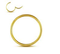 Yaoyaoyors Anneaux de piercing simple/double en acier inoxydable 14 G/16 G/18 G/20 G Anneaux de nez à charnière Boucles d'oreilles septum Opale Bijoux conque Segment Segment Anneaux de lèvre Boucles