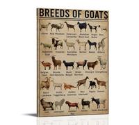 YAPING Map of World Goat Breeds Toile imprimée 30 x 45 cm