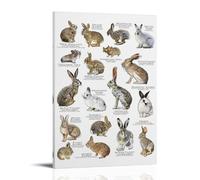 YAPING North American Rabbits Bedroom 40 x 60 cm